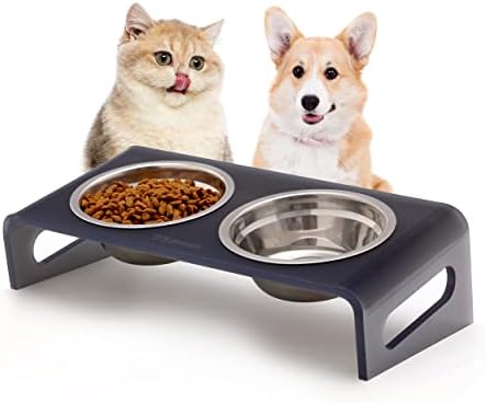 Tilted Raised Elevated Food and Water Bowls Stand for Cat or Small Dogs - Puppy's Clear Acrylic Stainless Steel Dishes Holder for Boy or Girl Pet,Modern,Durable and Easy to Clean by WBhonghui (Grey) by WBHONGHUI