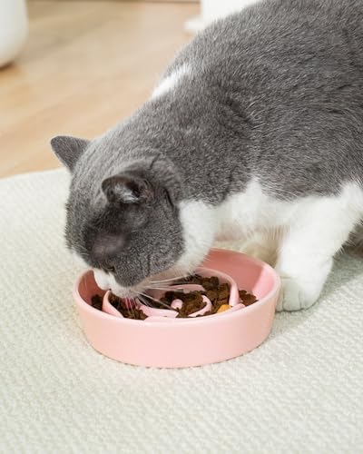 TRUVIC Ceramic Slow Feeder Dog Bowls Small Breed, 0.6 Cup Slow Feeder Cat Bowls for Fast Eaters, Ceramic Dog Food Dish no Black Chin, Puzzle Bowl for Small Dogs and Cats, Pink - Image 2