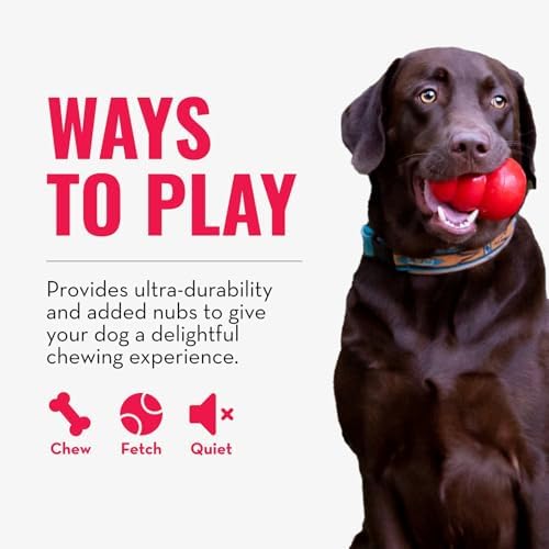 KONG Ring, Natural Rubber Chew Toy for Dental Health, for Medium/Large Dogs - Image 5