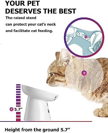 Y YHY Slow Feeder Cat Bowl, Ceramic Cat Slow Feeder Bowl, 6 Inches, Elevated, Anti Vomiting for Dry and Wet Food, White - Image 4