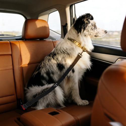 Dog Seat Belt Retractable Dog Leash Adjustable Dog Seatbelt for Vehicle Pet Safety Elastic Nylon Bungee Buffer Strap Elite Heavy Duty Durable Car Harness Tether for Dogs (Pink) - Image 7