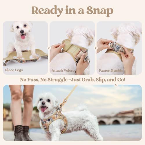 rabbitgoo Dog Harness Small Sized and Leash Set, Step-in Puppy Pet Vest - Image 5
