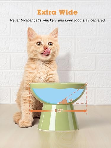 LoeJan Elevated Food and Water Bowls Set, Extra Wide and Raised Ceramic Feeder, Anti-Vomit Whisker-Free Pressure Cat Bowl for Kittens to Adult Cats, Small Dogs (Green, Water Bowl) - Image 5