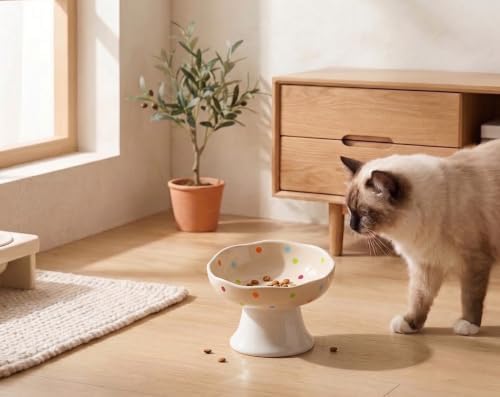 Mushroom Cat Bowl, Elevated Ceramic Cat Bowl, Confetti - Image 5