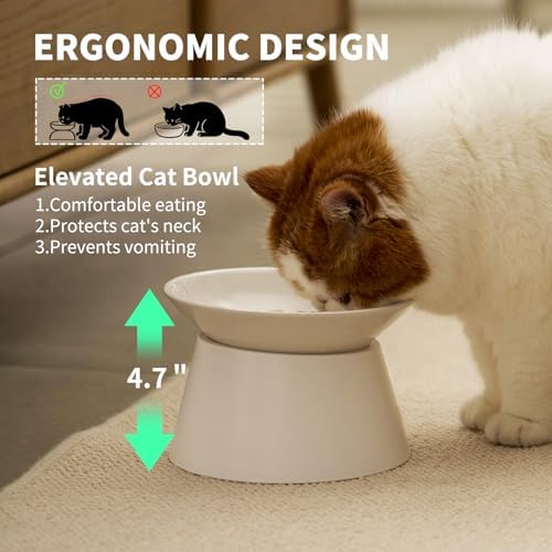 MS!MAKE SURE Cat Food Bowls Elevated - Ceramic Cat Water Bowls Whisker Friendly with Stand Tilted Non Slip Flat Detachable Anti Vomiting for Indoor Cats White - Image 4