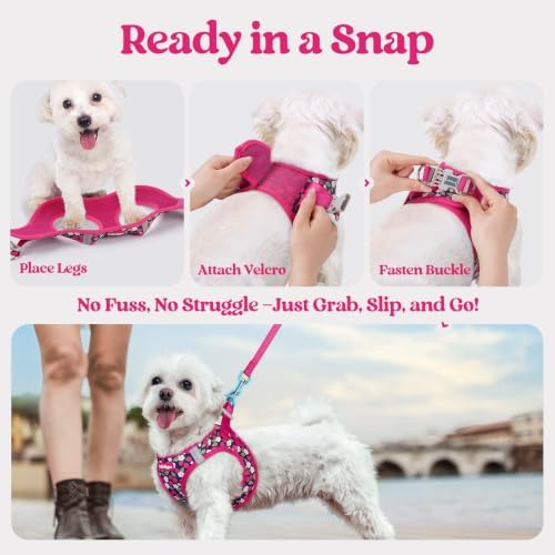 rabbitgoo Dog Harness Small Sized and Leash Set, Step-in Puppy Pet Vest - Image 5