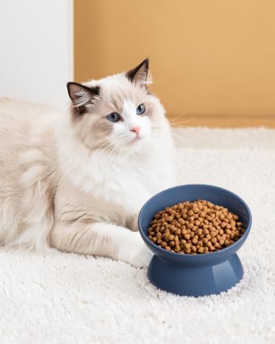 LoeJan Elevated Cat Food Bowl, 5 Oz Ceramic Raised and Tilted Water Bowl, Anti Vomiting and Protect Pets' Spines Dishes for Small Dog, Fat Faced Cat, Kitten (Deep Blue, 2 Pack | 5 OZ) - Image 7