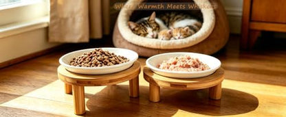 Shallow Elevated Cat Bowls, 2, White (Fish Bone), Bamboo Stand - Image 4