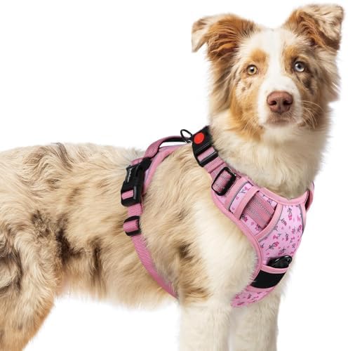 rabbitgoo Dog Harness Medium Sized, Updated Easy On & Off with 3 Buckles by rabbitgoo
