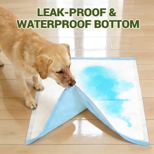 IMMCUTE 100 Count Premium Puppy Pads, 22"x23" Dog Pee Pads – Ultra-Soft Heat-Sealed, 6-Layer Leak-Proof & Super Absorbent Potty Training Pads for Dogs, Cats, Pets | Crate Training & Indoor Use, Blue - Image 3