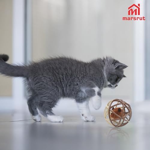 Squeaky Mouse Ball Cat Toy with Simulated Sound, Mouse Inside Cage, Squeky Balls for Cats to Play with Indoor, Squeak Interactive Plastic Funny Toys Best for Chewing Training Playing Chasing (Beige) - Image 4