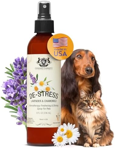 Dog Perfume Spray Long Lasting Chamomile & Lavender 8 Fl Oz, Dog Cologne Spray Long Lasting for Groomers, Calming Deodorizer Perfume for Dogs, Pet Puppy Deodorizing Fragrance by Gerrard Larriett by GerrardLarriettAromatherapyPetCare