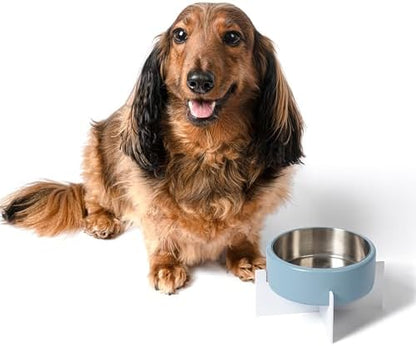 DBL3000C Intersecta Small/Medium Concrete and Stainless Steel Bowl 16oz (2 Cups) with Metal Stand Pet Feeder, Blue/White - Image 6