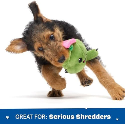 BarkBox Consuela the Cactus 2-in-1 Interactive Plush Dog Toy - Image 5