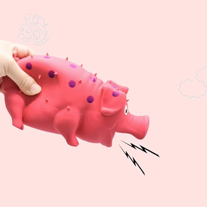 Squeaky Pig Dog Toys, 2 Pack Grunting Pig Dog Toy That Oinks Grunts for Small Medium Large Dogs, Grunting Pig Sound Play Dog Toy