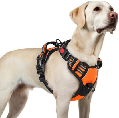 rabbitgoo Dog Harness for Large, Updated Easy On & Off with 3 Buckles by rabbitgoo