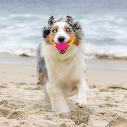 PROJECT HIVE ·PET COMPANY· Looped Ball 2 Pack-SM-Pink/Blue - Image 2
