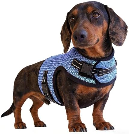 Mini Dachshund Harness Vest, No Pull & No Armpit Rub Dachshund Harness, Escape Proof Adjustable Dog Harness for Walking (Blue, L: Chest 53-63cm (21"-25")) - Image 7