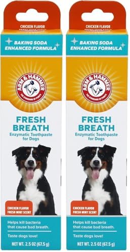 Arm & Hammer for Pets Dental Enzymatic Toothpaste for Dogs | No More Doggie Breath | Dog Toothpaste Safe for All Dogs and Puppies, Advanced Care, Chicken Flavor 2.5 Ounce (Pack of 2) by ArmHammer