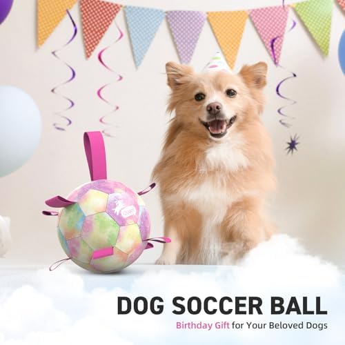 QDAN Dog Balls, Dog Soccer Ball with Straps,Puppy Girl Dog Toys, 6 Inch - Image 4
