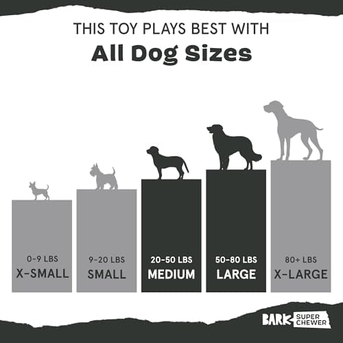 BarkBox Radius Super Chewer - Toy for Large Dogs - Image 6
