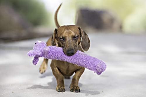 Multipet Original Loofa Dog Plush Toy - Squeaky Toy for All Dogs - Extra Soft Plush - Stuffed Animal Dog Toys for Playing - Cute Dog Pet Toy (1 Count, 12”, Random Color Surprise) - Image 2