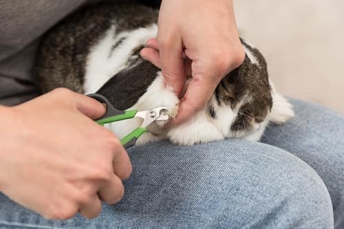 TRIXIE Pet Grooming Nail Clippers, for Small Dogs, Cats, Small Animals, and Birds, 3" (8cm) (Pack of 2) - Image 4