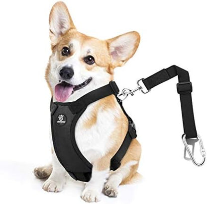 VavoPaw Dog Seat Belt Vest Harness for Car, 2 in 1 Seatbelt Buckle by VavoPaw