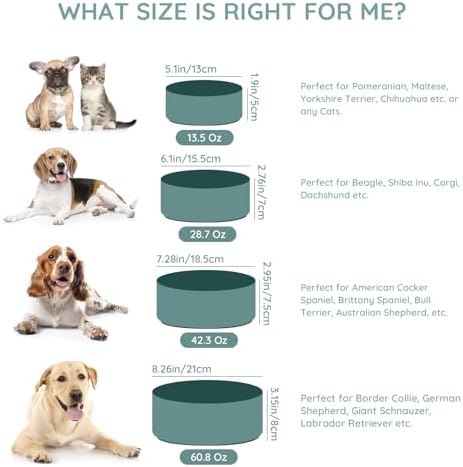 SPUNKYJUNKY 28.7OZ Ceramic Dog and Cat Bowl, Modern Cute Weighted Food Water Bowl for Replacement Light Green (2 Pack) - Image 6