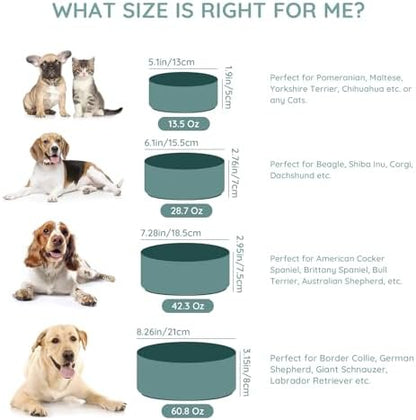 SPUNKYJUNKY 28.7OZ Ceramic Dog and Cat Bowl, Modern Cute Weighted Food Water Bowl for Replacement Light Green (2 Pack) - Image 6
