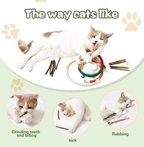 Silvervine Chew Sticks & Cat Chew Long Rope for Cats, 12 Pack Natural Catnip Chew Toys - Image 3
