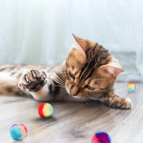 FuninCrea 20 Pcs Cat Ball Toy, 1.18-Inch Rainbow Cat Toy Ball Colorful Cat Pom Pom Balls with a Small Pouch, Fuzzy Kitty Balls for Cats, Kitten Toys for Playing Training Chasing (A,Small) - Image 5