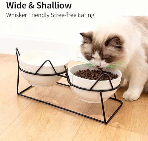 Elevated Cat Food Bowl,Ceramic Raised Water Bowl for Indoor Cats, 15°Tilted Metal Stand Anti Vomiting and Protect Spines,Whisker Fatigue Feeding Dishes,Non-slip and Dishwasher Safe - Image 3