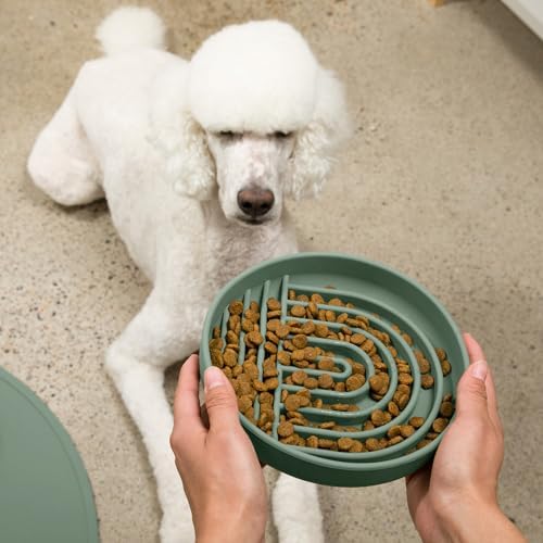 Slow Feeder Dog Bowl - Silicone Dog Bowl, Large, 9.5" x 1.5" - Spruce - Image 5