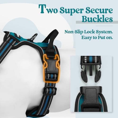 rabbitgoo Dog Harness, No Pull for Large Dogs with 2 Leash Clips, Pet Vest - Image 3