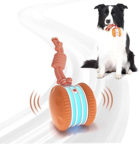Interactive Dog Ball,Random Path Electric Moving Dogs Toy with Rope by Unknown