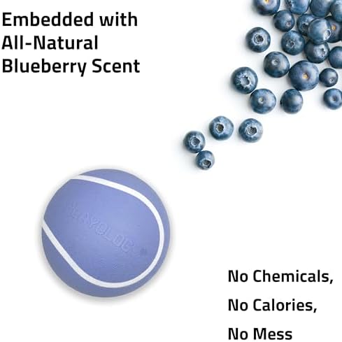Playology Squeaky Chew Ball Dog Toy - Medium, Blueberry Scent - Image 4