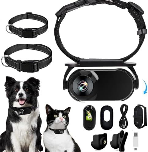 1080P Cat Camera Collar - Wireless Mini Sport Cam with Video Recording, Small Action Camera for Pet Supplies, Indoor/Outdoor Body Cam for Cats（Black Standard） by Unknown