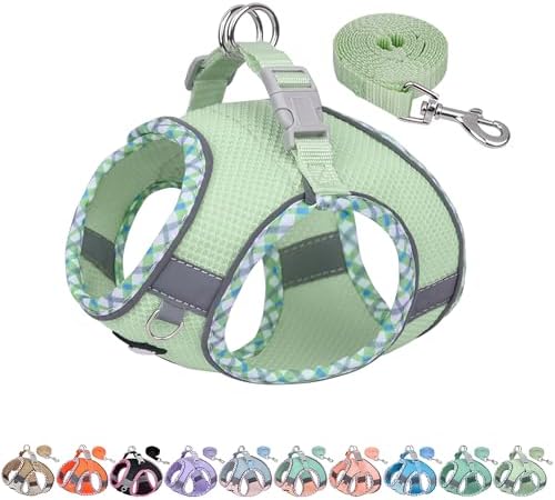AIITLE Small Dog Harness and Leash Set with Strong Magic Tape, Sage XS by AIITLE-FORPETSBETTERLIFE