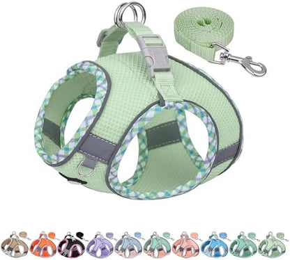 AIITLE Small Dog Harness and Leash Set with Strong Magic Tape, Sage XS by AIITLE-FORPETSBETTERLIFE