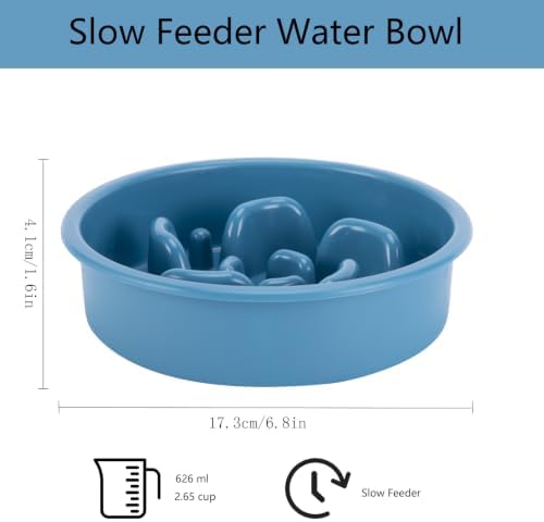 MateeyLife Slow Feeder Dog Bowl and Stainless Steel Water Bowl - Image 2