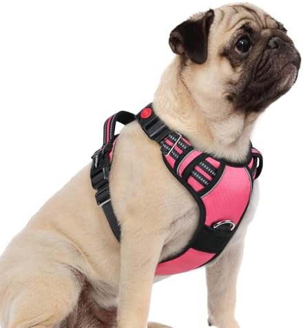rabbitgoo Dog Harness Small Sized, No Pull 3 Buckles Easy On & Off by rabbitgoo