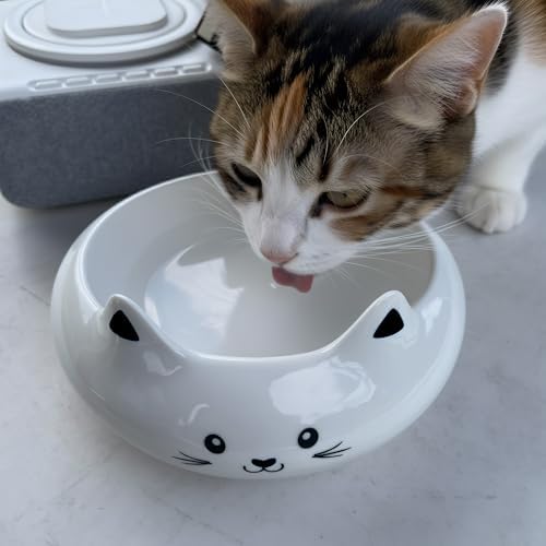 Cat Bowls, Cat Food Bowl with Ears, Ceramic Cute Kitten Water Bowl 7.1oz, Slanted Kitten Feeding Dish 6.5 inch, Whisker Fatigue Friendly, Adorable and Multi-Use Gift for Girls - Image 3