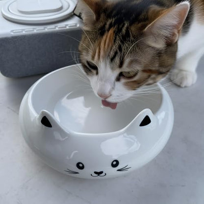 Cat Bowls, Cat Food Bowl with Ears, Ceramic Cute Kitten Water Bowl 7.1oz, Slanted Kitten Feeding Dish 6.5 inch, Whisker Fatigue Friendly, Adorable and Multi-Use Gift for Girls - Image 3