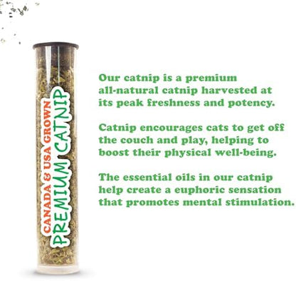 Meowijuana Fall Pumpkin Refillable Cat Toy | Refillable Plush Catnip Toy - Image 5