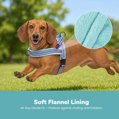 Didog No Pull Dog Harness for Small Dogs, Soft Flannel Padded,Mixed-Blue,XS - Image 2