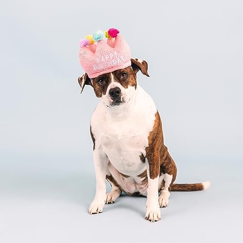 Fringe Studio Plush Dog Toy, If The Crown Fits, Pet Shop Collection (314209) - Image 4