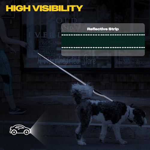 Fida 10 FT Heavy Duty Dog Leash, Dual Padded Handles for Medium Large Dogs - Image 5
