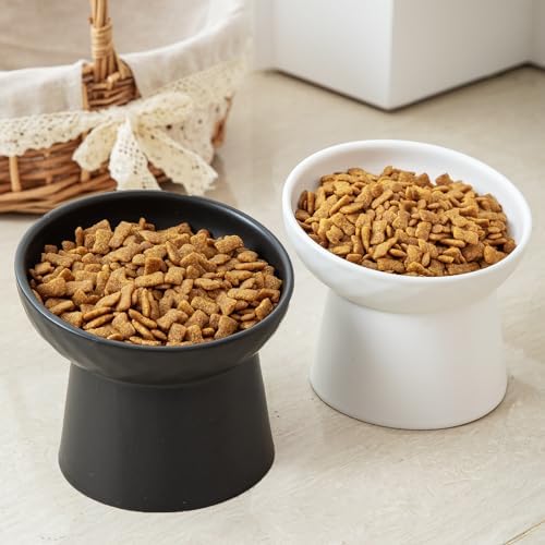 Elevated Cat Bowls, 15° Tilted Ceramic Raised Cat Food and Water Bowl Set, Whisker-Friendly Porcelain Pet Feeder Dishes for Indoor Cats and Small Dogs,White,6.2 Inch,2 Pack - Image 5