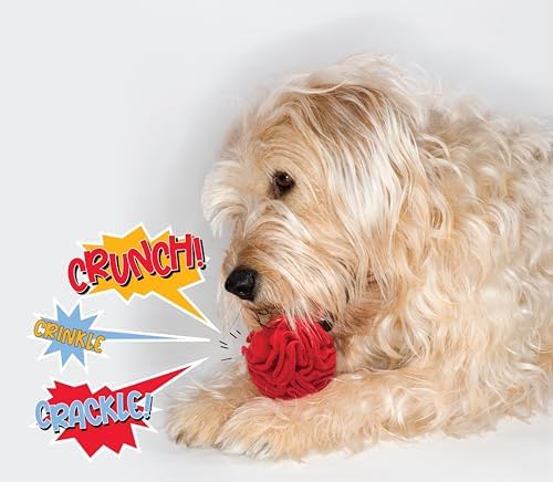 Glory To Dog Puppy/Small Breed Snuffle Dog Puzzle Ball Toy Red with Crinkle - Image 3